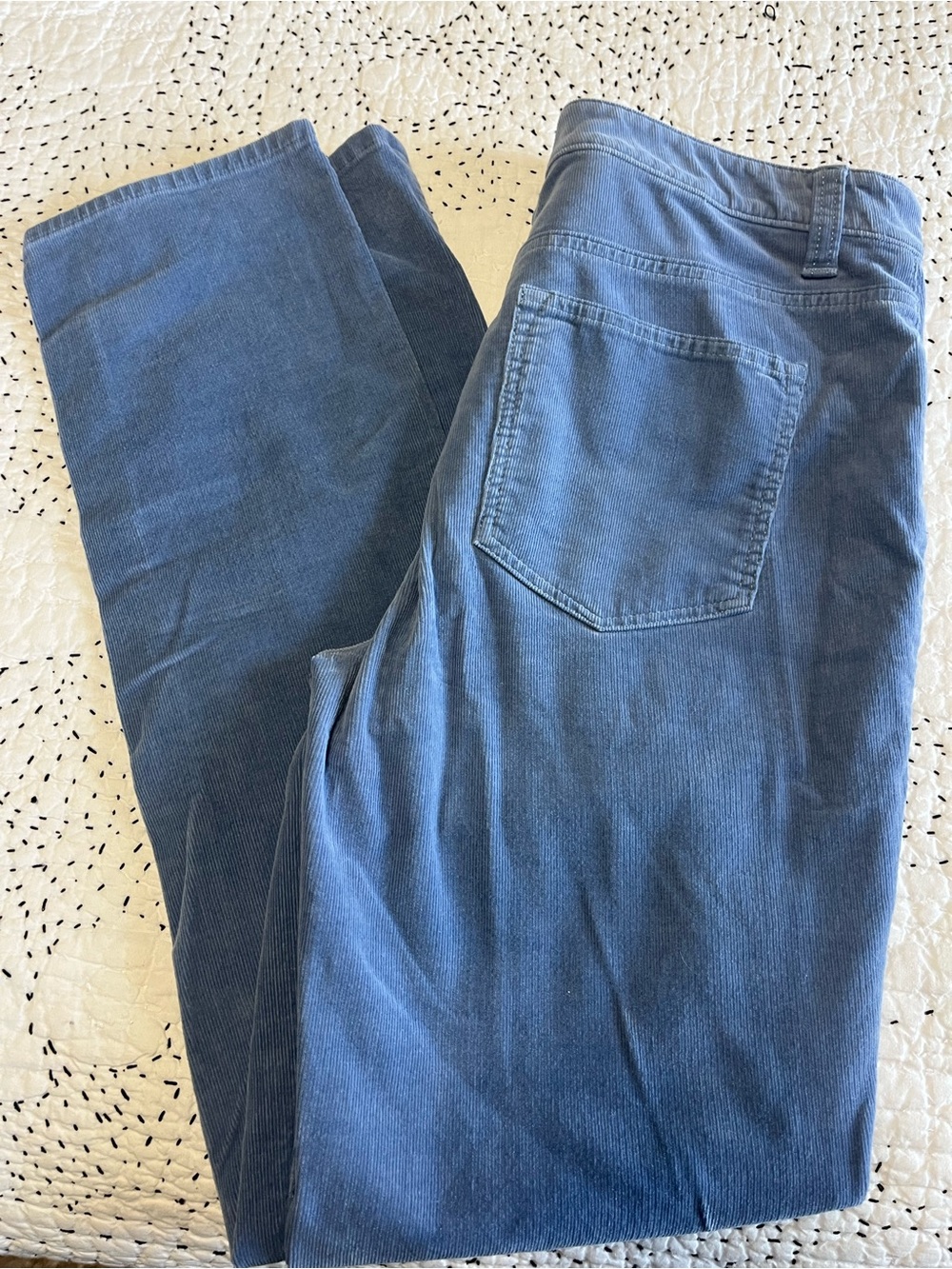 Talbots Corduroy Pants Jeans Dusty Periwinkle Blue High Waisted Straight Leg 6